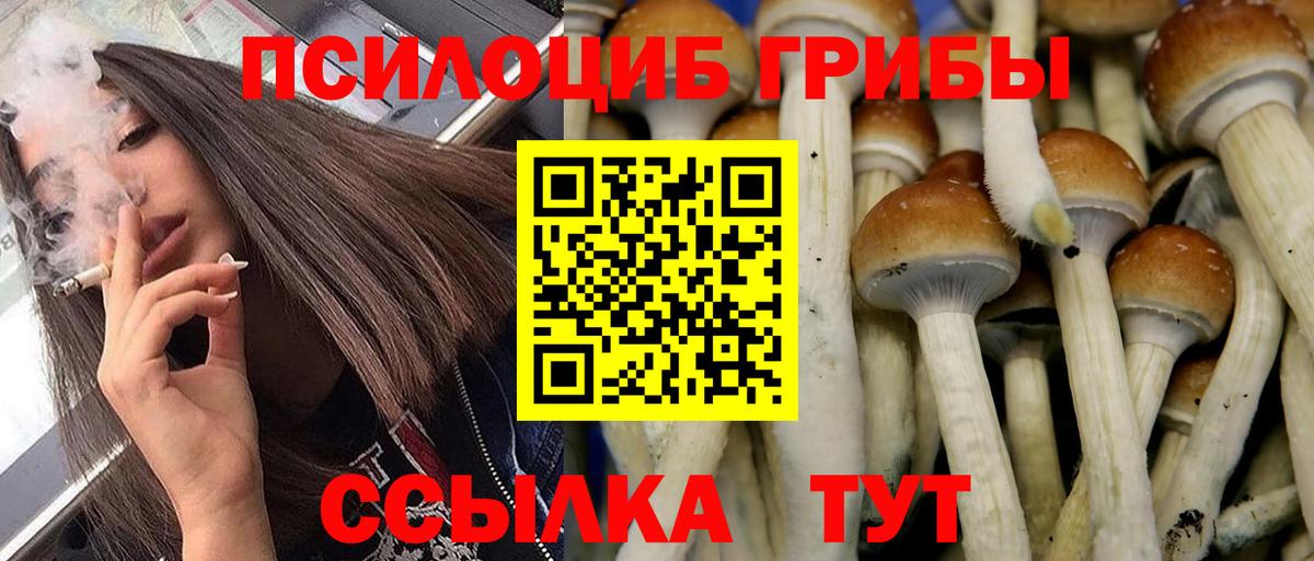 Псилоцибиновые грибы Psilocybine cubensis  Вход с VPN  Волгодонск 